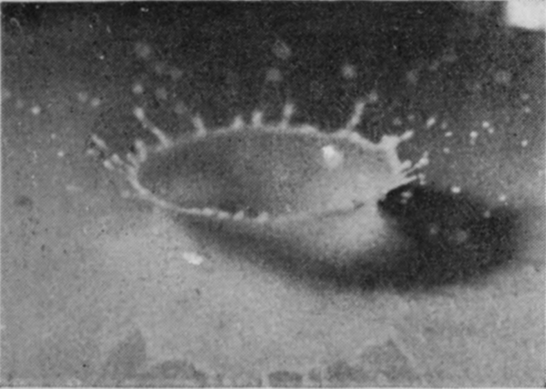 5 — The sphere has gone under, leaving a wide open crater with a thin wall and a ring of fine jets tipped with drops, spray scattering beyond.