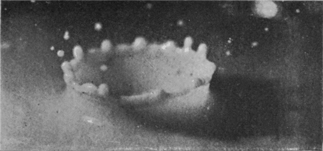 8 0·032 sec. — The crater has grown lower and thicker in the wall, its rim now broken into a small number of rounded lobes.