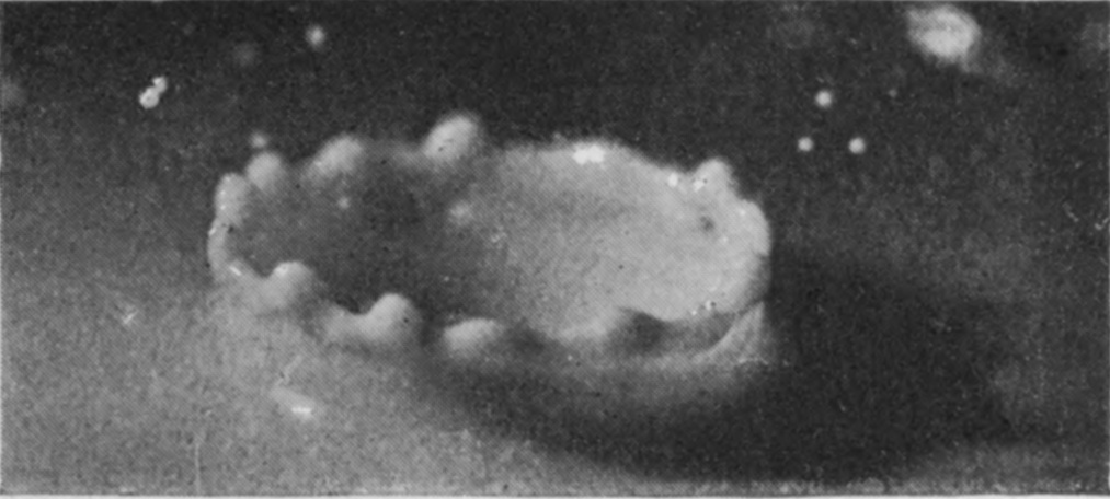 9 0·042 sec. — The crater continues to subside into a squat, thick-walled ring with only a few blunt lumps left on its rim.