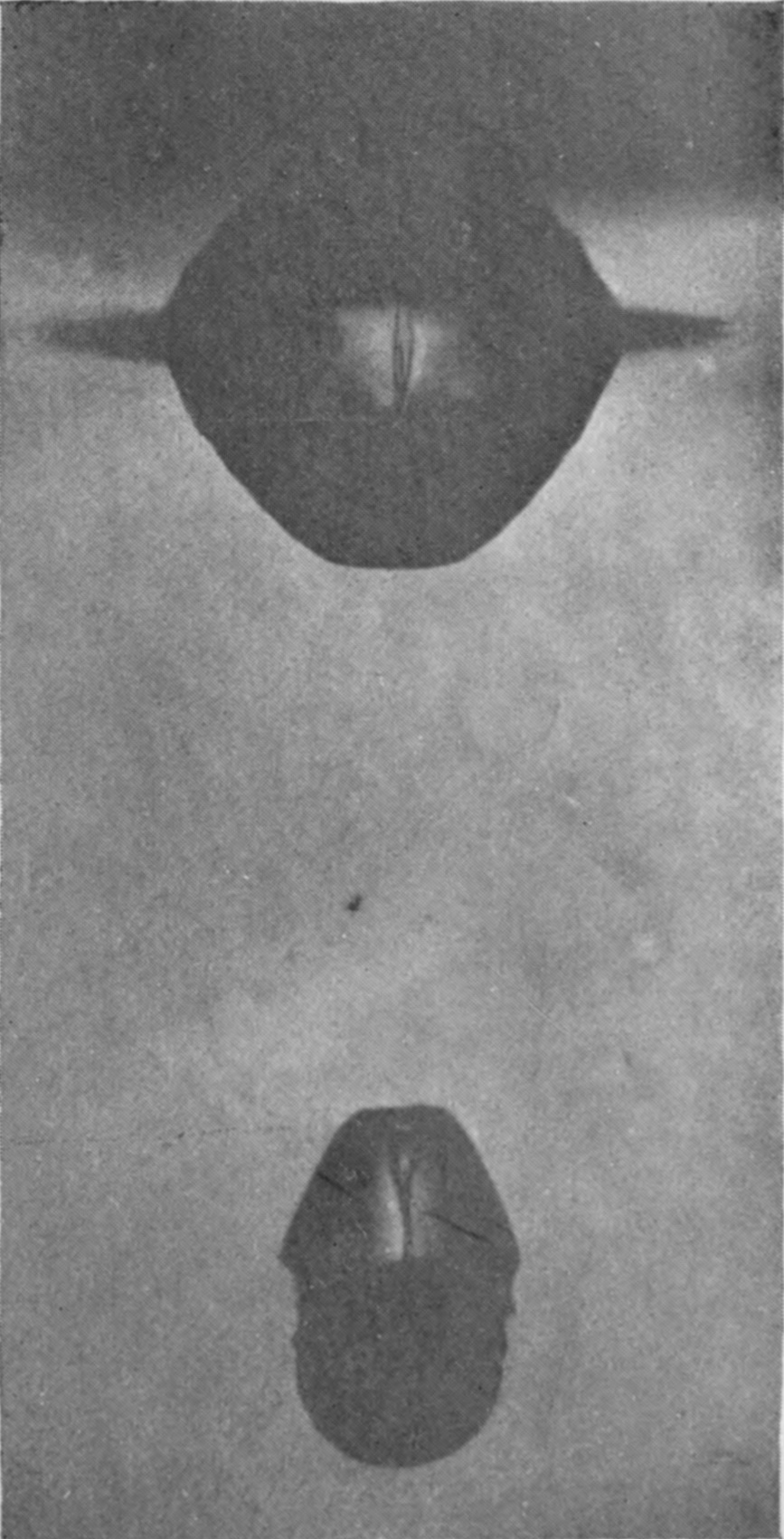 9 0·054 sec. — The two parts have drawn further apart, a deep rounded basin at the surface above and the descending bubble below, notched at its top.