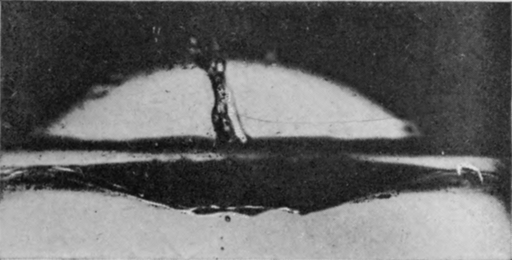 12 0·062 sec. — The remaining hollow is broad and shallow, and a crooked jet has pushed up out of its centre above the surface.
