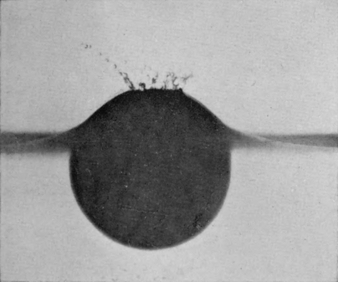 5 0·013 sec. — The sheath has closed over the summit, where its edges meet in a small cluster of ragged jets.