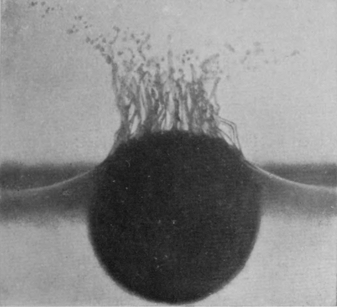 A smooth serpentine sphere entering water mixed with glycerine throws up a crown of long, fluted jets that are slow to topple into droplets.