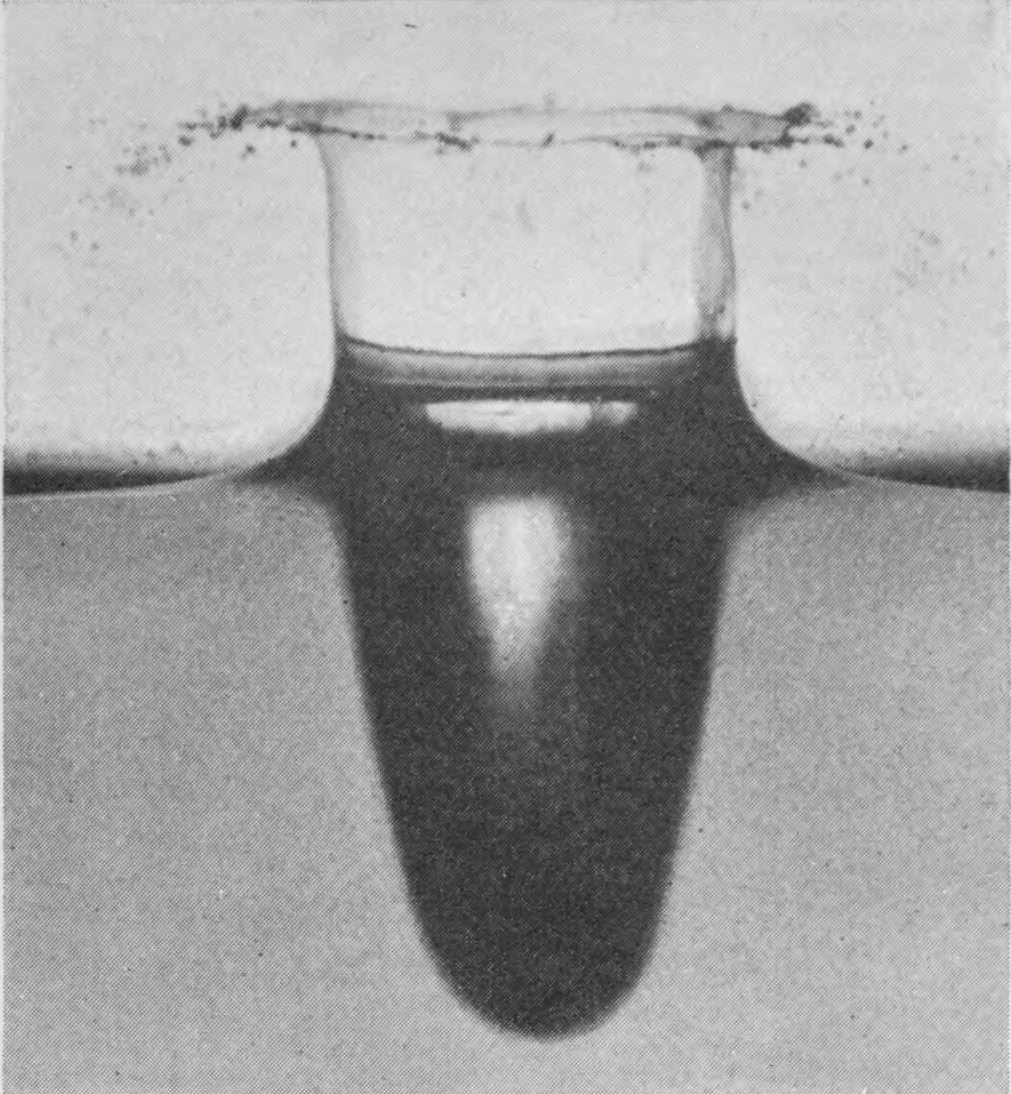2 0·008 sec. — The crater walls stand taller and straight-sided, their rim spreading outward in a brim of spray, while the air-cavity below grows longer.