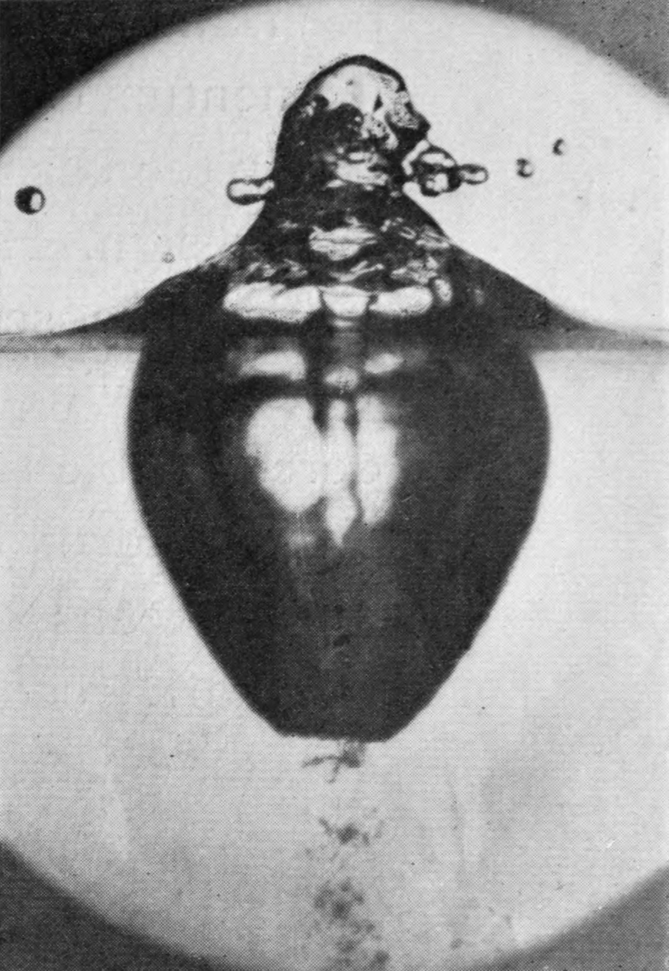 9 0·063 sec. — The air column has divided: the rounded chamber below the heap is closed at the bottom, and a trail of air-dust drifts down from beneath it.