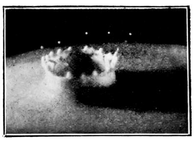 Time after contact = ·0262 sec. — The rim of the hollow is raised into a crown of short arms, each tipped with a bead, while a few detached droplets fly above.