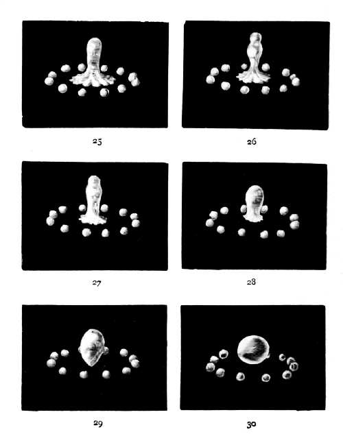 First Series 25 through 30 — A central column rises inside a circle of satellite drops broken from the ends of the arms, then collapses back into a single drop within the ring.