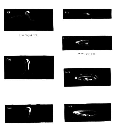Third Series 8 through 14 — The thick emergent column, capped with milk, rises and sinks back, forming a hollow; a beaded film of milk is carried up its sides as a ring.