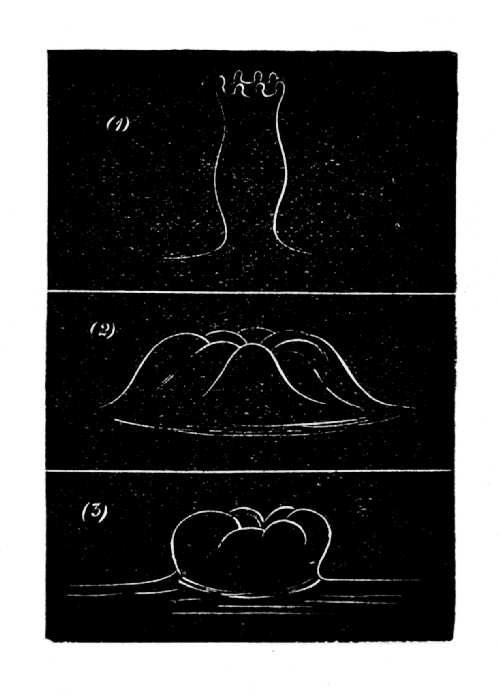 The Splash of a Solid Sphere —(continued.) When the sphere is rough or wet, and falls above 5 feet. — A tall tube with scalloped lips narrows as it cleaves, closes into a lobed bubble, and the bubble sags in the middle.