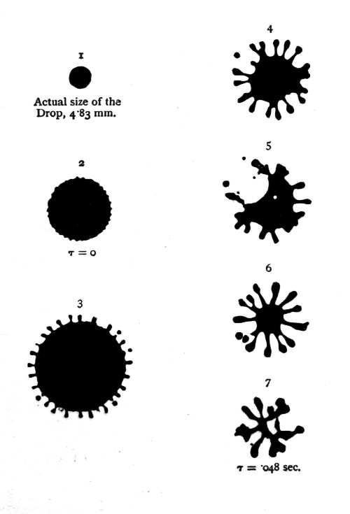 Tenth Series 1 through 7 — Black silhouettes: the drop spreads into a disc with a scalloped edge, then a disc fringed with short rays, then irregular stars of arms throwing off droplets.