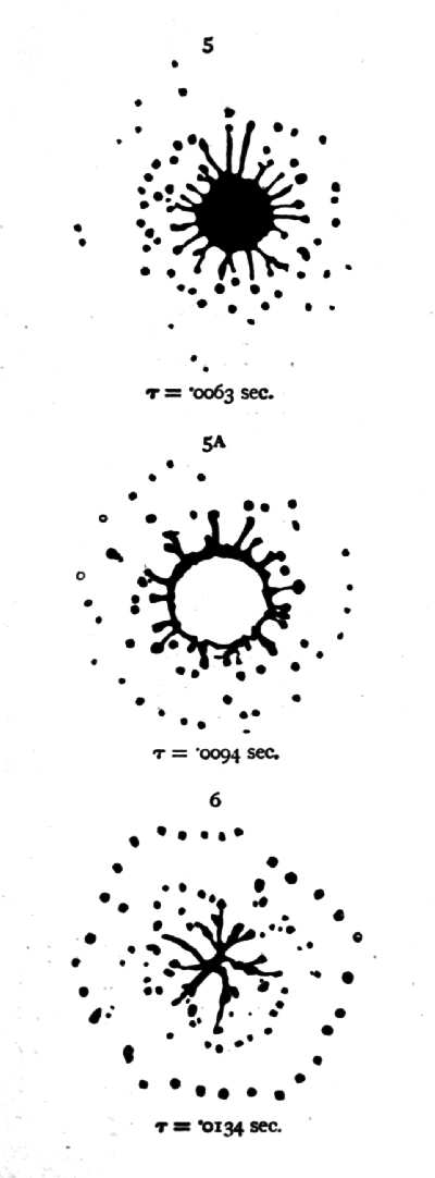 Eleventh Series 5 through 6 — A rayed star amid rings of droplets; then the thin central film tears, leaving a white hole inside the ring of rays; finally an irregular branching remnant within two circles of droplets.